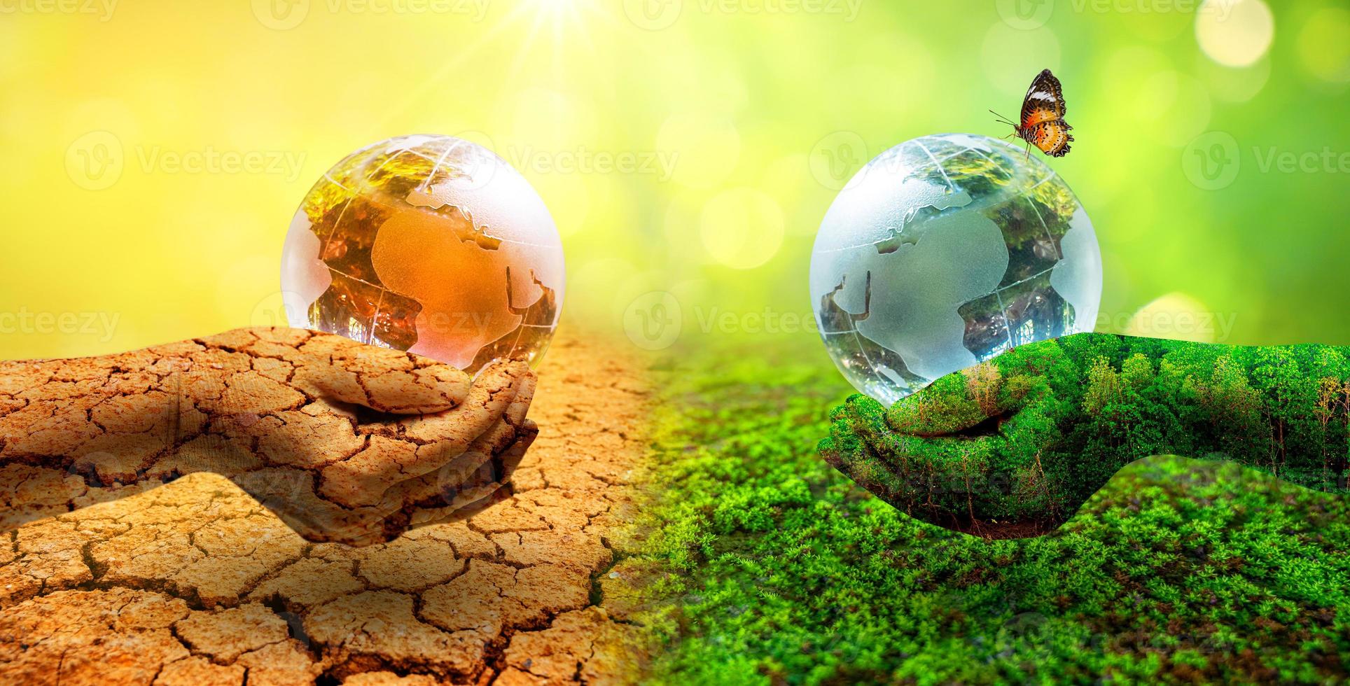 medioambiente y lucha por el clima