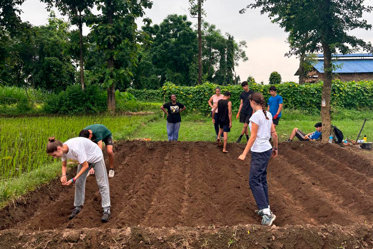 Verano internacional solidario 2025