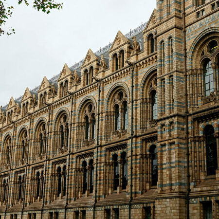 Prácticas profesionales internacionales Inglaterra