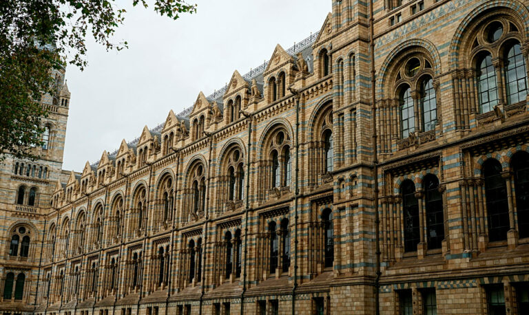 Prácticas profesionales internacionales Inglaterra