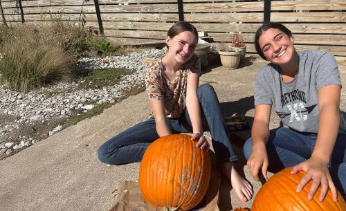 voluntariado internacional