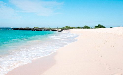 ecuador-galapagos-programas-educativos-a-medida