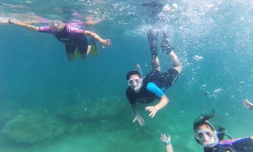 slide-mares-plasticos-1 slide-mares-plasticos-1