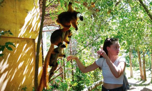 slide-voluntariado-individual-extranjero-2024 Voluntariado individual en el extranjero para mayores de 18 años